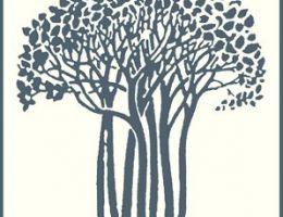 Immagine 2 di SPUMANTE BRUT PAS DOSE' CHARDONNAY  LA CASACCIA