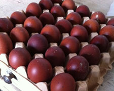 Immagine 1 di UOVO COLOR CIOCCOLATO CASCINA LA VETRIATA