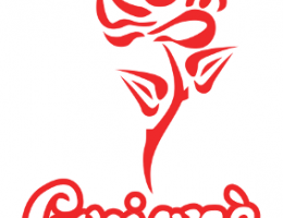 Immagine 2 di DONNA ELENA STILE AMERICAN GOLDEN ALE