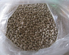 Immagine 1 di FAGIOLO COCCO