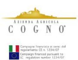 Immagine 4 di BAROLO D.O.C.G. RISERVA RAVERA VIGNA ELENA