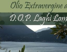 Immagine 1 di OLIO EXTRAVERGINE DI OLIVA LAGHI LOMBARDI D.O.P. DI CATEGORIA SUPERIORE FRANTOIO BIOSIO
