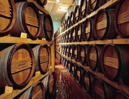 Immagine 4 di MONTEPULCIANO D'ABRUZZO D.O.C. VILLA GEMMA RISERVA