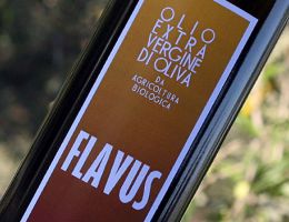 Immagine 1 di OLIO EXTRAVERGINE DI OLIVA CULTIVAR GENTILE DI CHIETI DI QUALITA' SUPERIORE