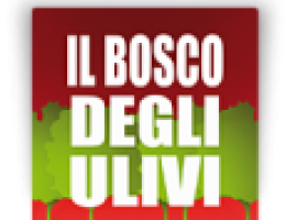 Immagine 2 di OLIO EXTRAVERGINE DI OLIVA CULTIVAR GENTILE DI CHIETI DI QUALITA' SUPERIORE