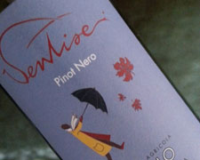 Immagine 1 di VENTISEI PINOT NERO TOSCANO I.G.T.