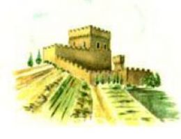 Immagine 4 di TERRED DI SOTTO ORCIA D.O.C. RISERVA