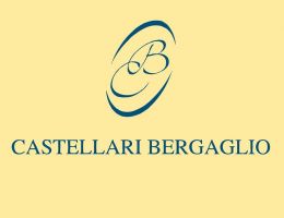 Immagine 4 di GAVI D.O.C.G. SALLUVII CASTELLARI BERGAGLIO VINI