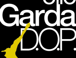 Immagine 2 di OLIO EXTRAVERGINE DI OLIVA BIO GARDA D.O.P.