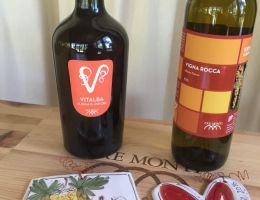 Immagine 1 di ALBANA DI ROMAGNA D.O.C.G. VITALBA VIGNA BACCHILEGA IN ANFORA GIORGIANA