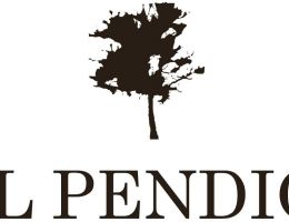 Immagine 2 di OLIO EXTRAVERGINE DI OLIVA BLEND QUALITA' SUPERIORE IL PENDIO