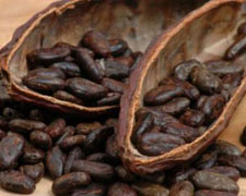 Immagine 1 di CACAO CRIOLLO PORCELLANA