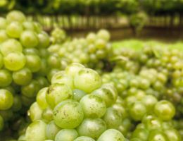 Immagine 3 di PASSERINA I.G.T. COLLINE TEATINE