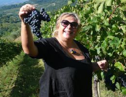 Immagine 3 di I BALZINI GOLD LABEL I.G.T. MERLOT TOSCANA