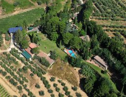 Immagine 4 di I BALZINI GOLD LABEL I.G.T. MERLOT TOSCANA