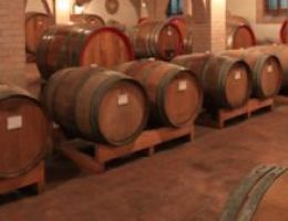 Immagine 2 di BOTTICINO CLASSICO D.O.C. PIA' DELLA TESA NOVENTA