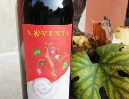 Immagine 5 di BOTTICINO CLASSICO D.O.C. PIA' DELLA TESA NOVENTA