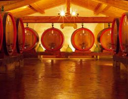 Immagine 2 di BRUNELLO DI MONTALCINO D.O.C.G. RISERVA VIGNA DEL GREPPO