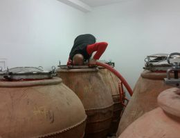 Immagine 4 di MONTEPULCIANO D'ABRUZZO D.O.C. ANFORA