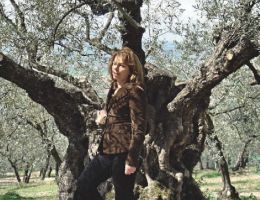 Immagine 1 di OLIO EXTRAVERGINE DI OLIVA D.O.P. UMBRIA COLLI ASSISI SPOLETO DI CATEGORIA SUPERIORE