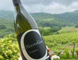 Immagine 3 di COLLI TORTONESI TIMORASSO D.O.C. FAUSTO VIGNE MARINA COPPI