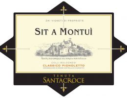 Immagine 1 di COLLI BOLOGNESI PIGNOLETTO D.O.C.G. CLASSICO SIT A MONTUI