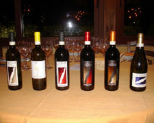 Immagine 3 di NIZZA D.O.C.G. TITON L'ARMANGIA VINI