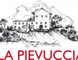 Immagine 2 di OLIO EXTRAVERGINE DI OLIVA BIO COLLINE DI AREZZO I.G.P.