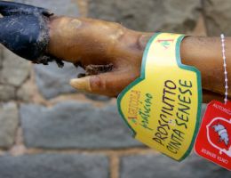 Immagine 1 di PROSCIUTTO CRUDO DI CINTA SENESE 24 MESI AGRI PRATICINO