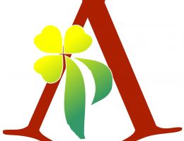 Immagine 5 di PROSCIUTTO CRUDO DI CINTA SENESE 24 MESI AGRI PRATICINO