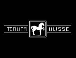 Immagine 3 di VINO SPUMANTE DI QUALITA' BRUT METODO CLASSICO PECORINO DOSAGGIO ZERO