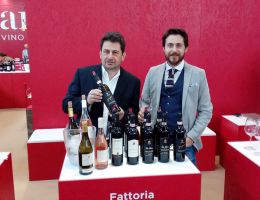 Immagine 4 di CHIANTI COLLI SENESI RISERVA D.O.C.G. SAN CIRINO