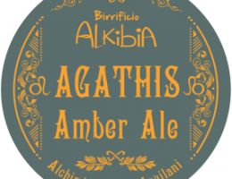 Immagine 1 di AGATHIS ALKIBIA STILE AMBER ALE