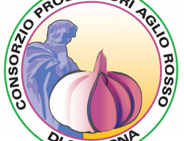 Immagine 1 di Aglio Rosso di Sulmona