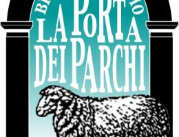 Immagine 2 di PECORINO APPENNINICO