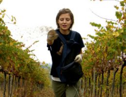 Immagine 1 di COLLI BOLOGNESI PIGNOLETTO FRIZZANTE SUI LIEVITI D.O.C. VIGNETO SAN VITO