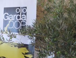 Immagine 1 di OLIO EXTRAVERGINE DI OLIVA GARDA ORIENTALE D.O.P. VEZZOLA