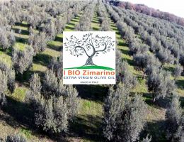 Immagine 2 di OLIO EXTRAVERGINE DI OLIVA BIOLOGICO E BIODINAMICO CERTIFICATO DEMETER