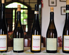 Immagine 1 di FIANO DI AVELLINO D.O.C.G.