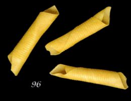 Immagine 5 di PASTA ALL'UOVO ARTIGIANALE FORMATO SPECIALE