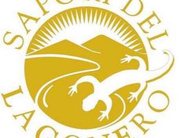 Immagine 2 di BISCOTTI ARTIGIANALI DELLA TRADIZIONE TOSCANA SAPORI DEL LAGO NERO