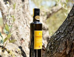 Immagine 2 di OLIO EXTRAVERGINE DI OLIVA CANINO D.O.P.