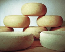 Immagine 1 di PECORINO DELLA MONTAGNA PISTOIESE