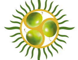 Immagine 2 di OLIO EXTRAVERGINE DI OLIVA BLEND DI QUALITA' SUPERIORE VANTU RISERVA BIO