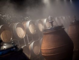 Immagine 2 di CANNONAU DI SARDEGNA D.O.C. RISERVA IN ANFHORA