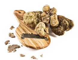 Immagine 1 di TARTUFO BIANCO BIO DI ACQUALAGNA