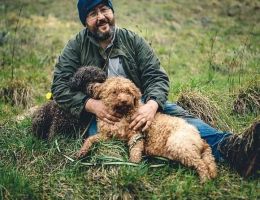 Immagine 4 di TARTUFO BIANCO BIO DI ACQUALAGNA