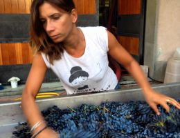 Immagine 2 di IL PIAGGIA CARMIGNANO RISERVA D.O.C.G.