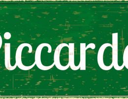 Immagine 1 di PICCARDA STILE STRONG ALE INVERNALE