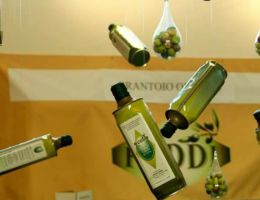 Immagine 1 di OLIO EXTRAVERGINE DI OLIVA CULTIVAR NERA DI GONNOS QUALITA' SUPERIORE